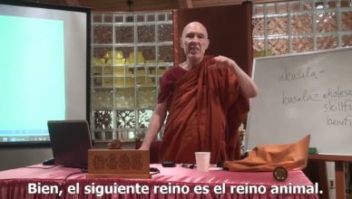 Kamma y Renacimiento – Venerable Bhikkhu Bodhi